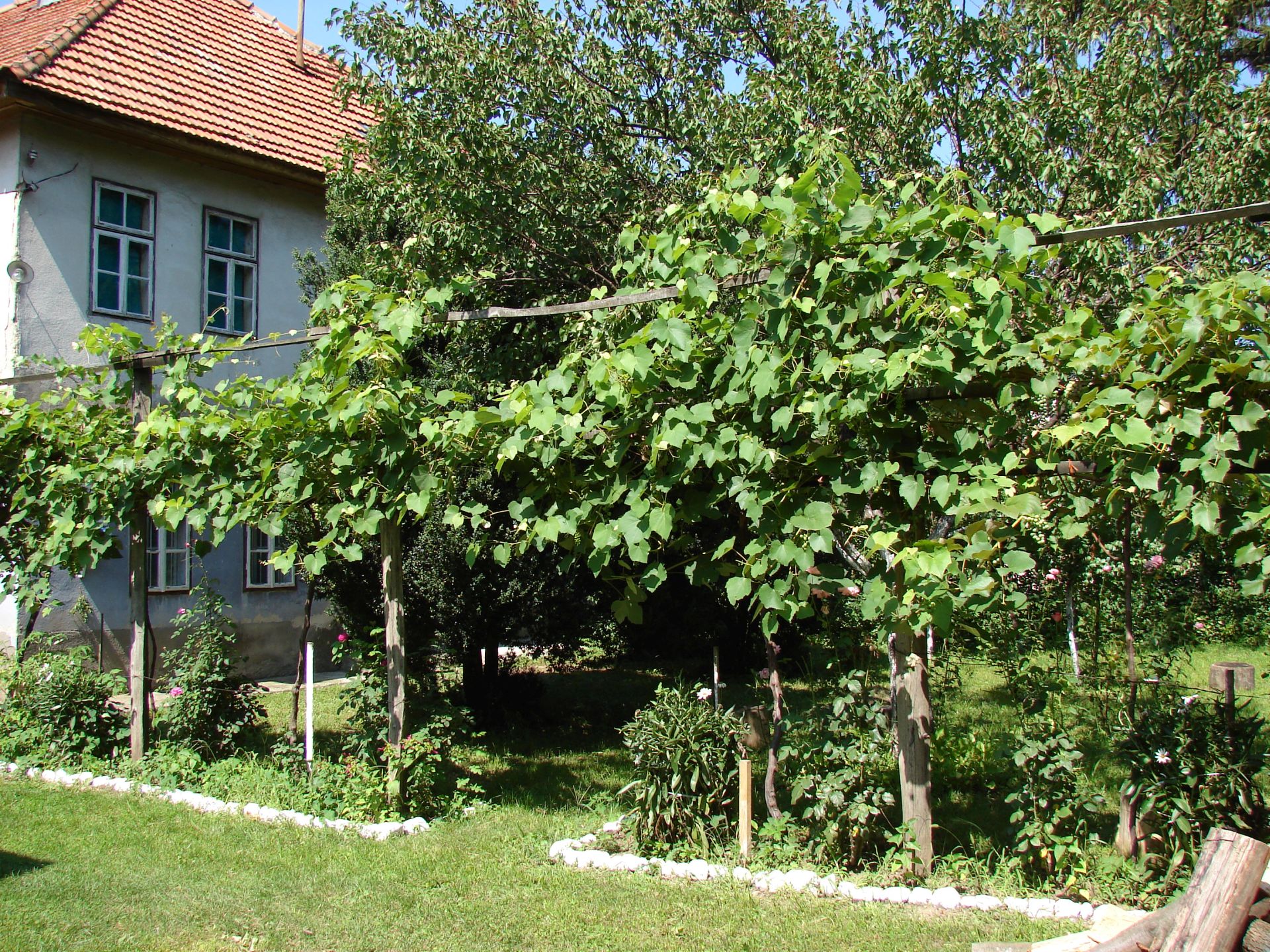 Kapidžića kuća (rodna kuća Nasihe Kapidžić Hadžić), historijska građevina